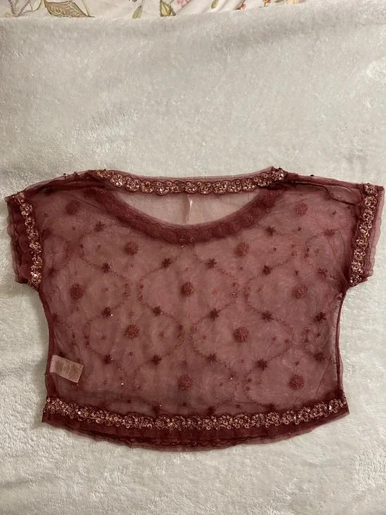 Embroidered Sheer Burnt Mauve Crop Top - Picture 6 of 6